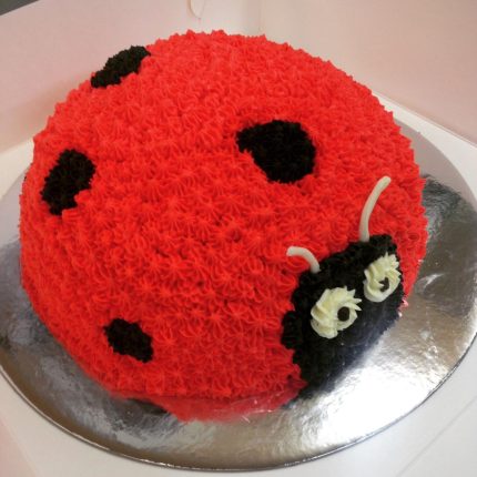 Adorable Ladybug Cake Design | iCake