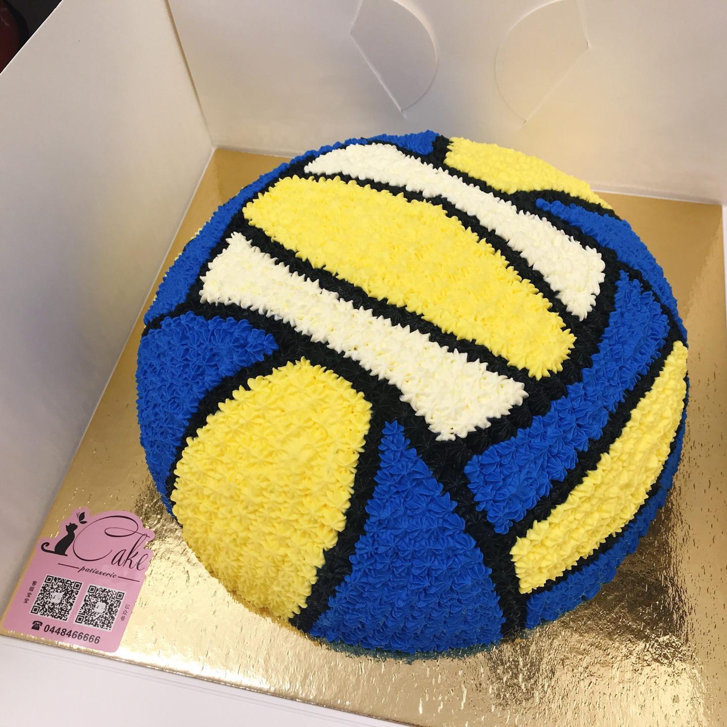 volleyball cake｜TikTok Search