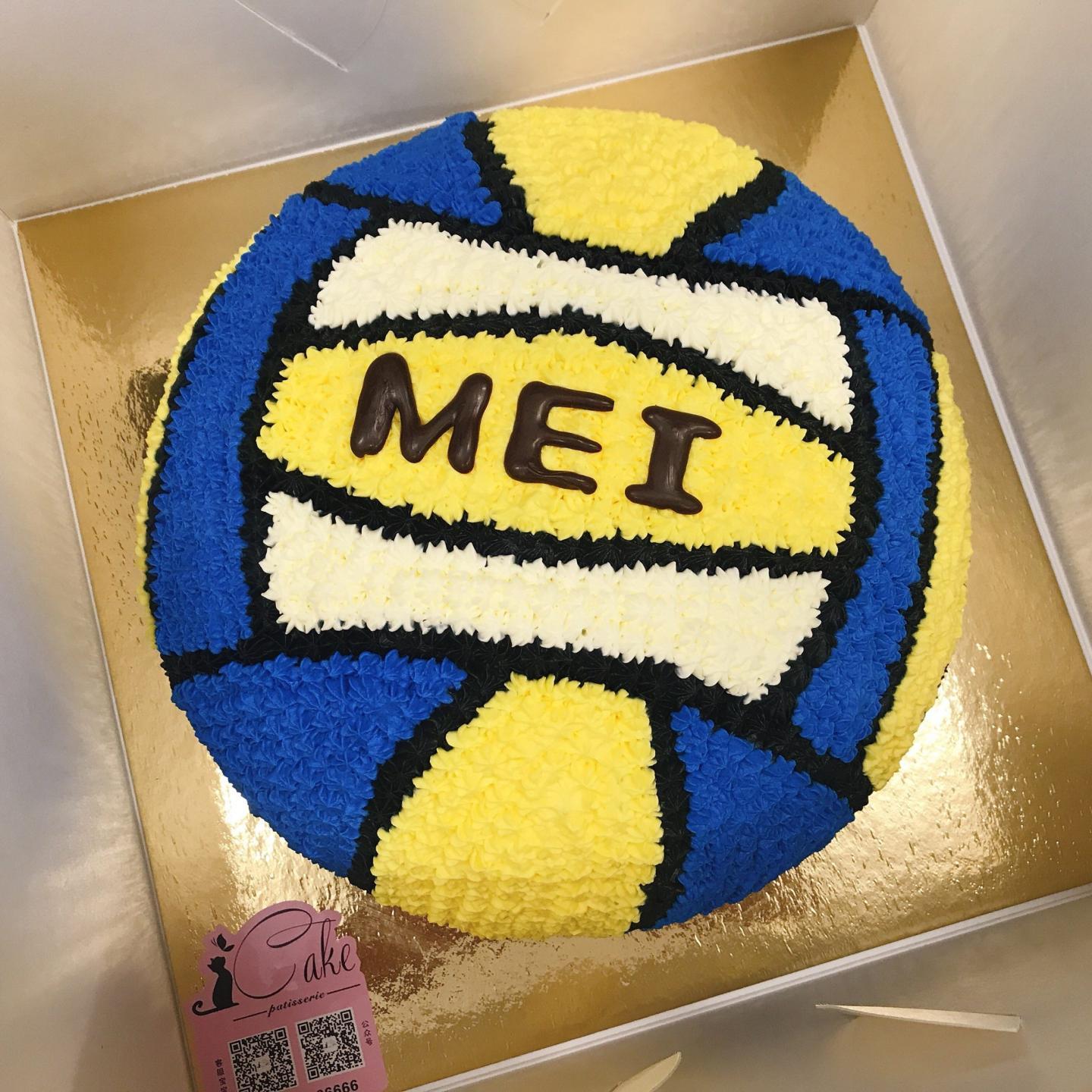 Volleyball Birthday Cake | When the team was done serving th… | Flickr