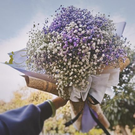 Mix Colours Baby‘s Breath