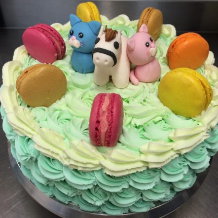 Whimsical Animal Macaroon Fondant Cake - iCake Melbourne