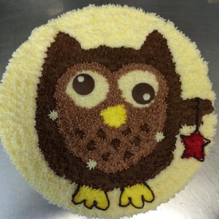 Whimsical Owl Cake Creations by iCake: Melbourne's Delightful Desserts