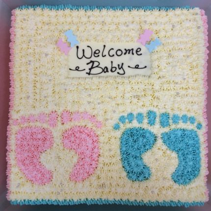 Welcome Little Wonders with iCake's Baby Shower and Gender Reveal Cakes - Celebrate Life's Sweetest Moments in Melbourne!