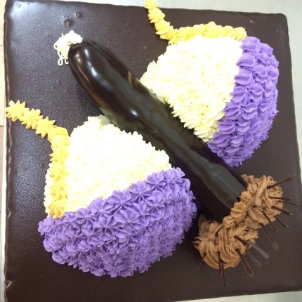 Unique and Fun Penis Cake Design by iCake | Melbourne's Premier Cake Bakery