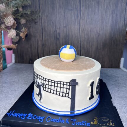 Spike and Slice Volleyball Celebration Cake - A Winning Taste!