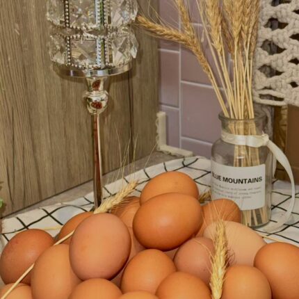 Fresh Caged Chicken Eggs – Affordable, Reliable & Convenient