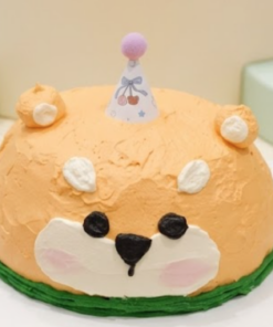 Pistachio n Raspberry Puppy Chiffon | Cute Artisanal Cake | iCake Melbourne